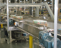 Case Conveyors